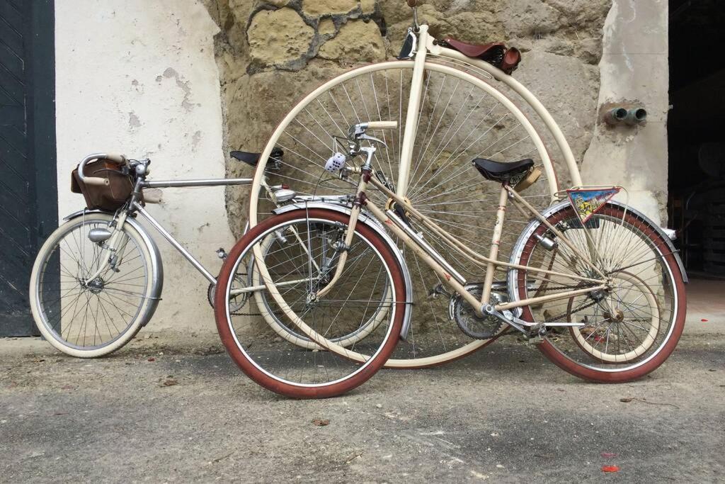Tour De France Historique Et Chateaux De Loire オルレアン エクステリア 写真